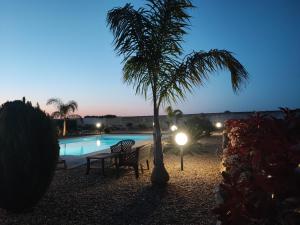 una palmera y un banco junto a una piscina en Villa Marinezzi, en Mesagne