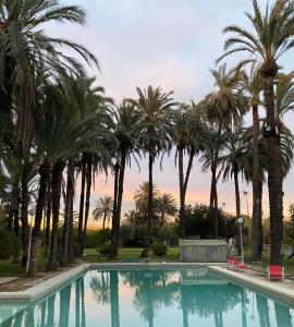 une piscine avec des palmiers en arrière-plan dans l'établissement PINK LEMON SUITs, à Elche