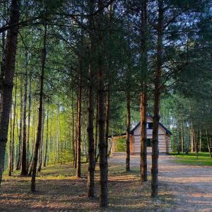 una cabaña en medio de un bosque de árboles en Leśne Klimaty, en Smolniki