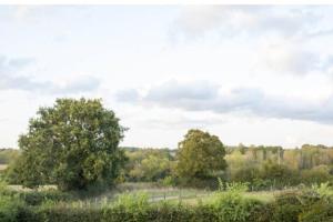 uma vista para um campo com árvores e arbustos em Doeling Barcombe em Isfield