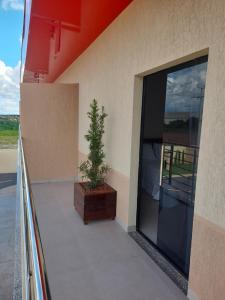 a plant sitting on the balcony of a building at Hotel Pimenta in Pimenta Bueno