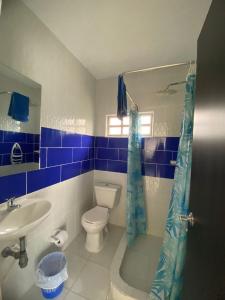 baño azul y blanco con aseo y lavamanos en Palma real, en La Mesa