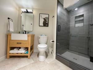 a bathroom with a toilet and a shower at Ski In-Out Hot Tub Gym Sauna Pool Reserved Parking-503 in Brighton
