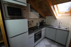 een keuken met een koelkast en een wastafel bij Ferienwohnung Almhüttenweg Dreitorspitze in Garmisch-Partenkirchen