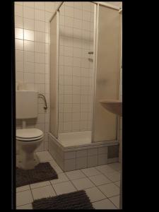 a bathroom with a toilet and a shower and a sink at Zimmervermietung Müller in Zeltweg