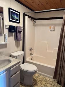 a bathroom with a toilet and a tub and a sink at Snow Otter Haus in Bessemer