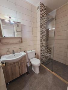 y baño con aseo, lavabo y ducha. en Standart Apartments 67 , Glyfada Beach, en Glyfada