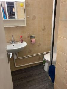 La salle de bains est pourvue d'un lavabo, de toilettes et d'un miroir. dans l'établissement Beau studio plein sud dans résidence tout confort, à Saint-Étienne-en-Dévoluy