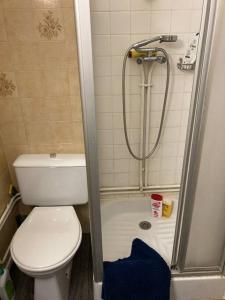 La petite salle de bains est pourvue d'une douche et de toilettes. dans l'établissement Beau studio plein sud dans résidence tout confort, à Saint-Étienne-en-Dévoluy