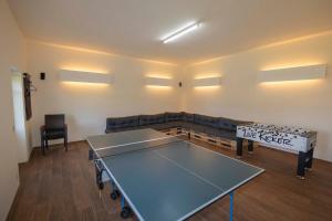 Stolní tenis v ubytování Ferienanlage Süderhof nebo okolí