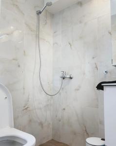 łazienka z prysznicem i toaletą w obiekcie Liakada Guest House w mieście Artemida