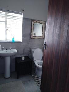 a bathroom with a toilet and a sink and a window at Uitzight in Beaufort West