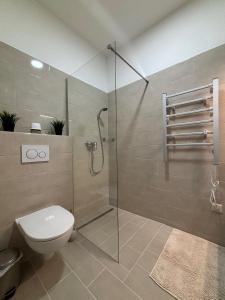 La salle de bains est pourvue de toilettes et d'une douche en verre. dans l'établissement White House Apartman Siófok, à Siófok