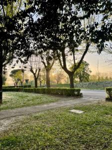 A garden outside La casina del Poggio