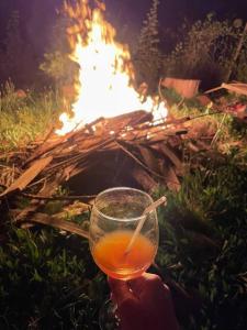 Gallery image of Posada Al Río in Isla de Maipo