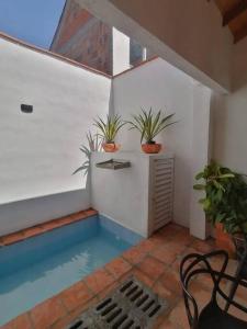 Habitación con piscina con 2 macetas en Casa de las Palmas, en Honda