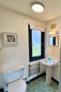 a bathroom with a toilet and a sink and a window at Kilcoy Chalets in Muir of Ord