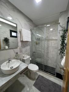 een badkamer met een toilet, een wastafel en een douche bij La Perle de Tétouan in Tetouan