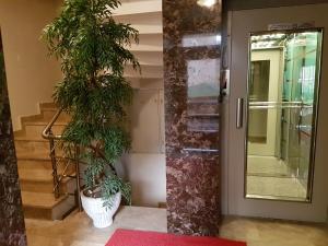 korytarz z drzwiami z rośliną w wazie w obiekcie Metropol suite w Stambule