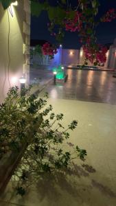 una stanza vuota con luci e piante in un edificio di شاليه النجمه الذهبيه a Al Harazat