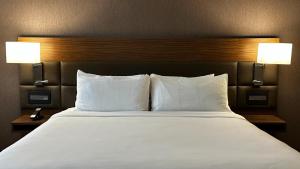 Postel nebo postele na pokoji v ubytování AC Hotel by Marriott San Jose Escazu