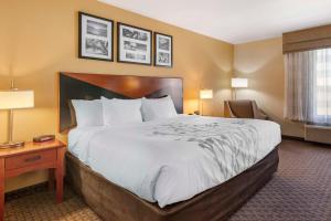 Habitación de hotel con cama grande y escritorio. en Sleep Inn & Suites Idaho Falls Gateway to Yellowstone, en Idaho Falls