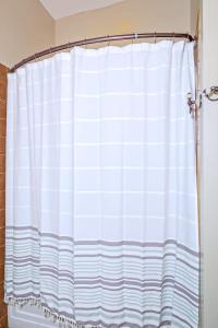 - Baño con cortina de ducha en Americana Cottage Closest Historic BnB to Benning, en Columbus