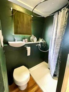 a green bathroom with a toilet and a sink at Executive houseboat in Little Venice in London