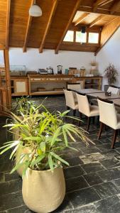 une salle à manger avec des tables, des chaises et des plantes dans l'établissement Hostería Don Costa, à Chos Malal