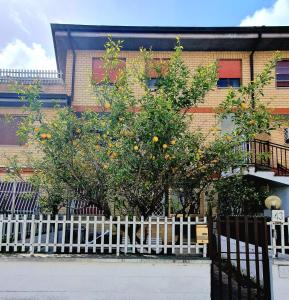 un naranjo delante de una valla blanca en Lemon Tree House, en Ostia Antica