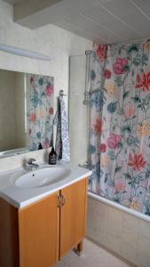 ein Bad mit einem Waschbecken und einer Dusche in der Unterkunft Akureyri Old Town Home in Akureyri