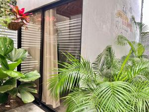 Сад в La Tribu Boutique Hostel for women