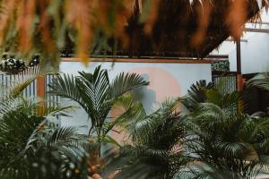 Сад в La Tribu Boutique Hostel for women