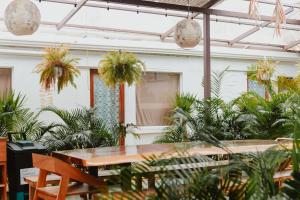 a room with a table and chairs and plants at La Tribu Boutique Hostel for women in Puerto Viejo