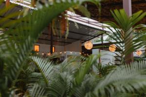 Сад в La Tribu Boutique Hostel for women