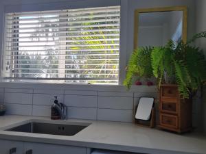 eine Spüle in einer Küche mit einem Fenster und einer Pflanze in der Unterkunft Paris studio in Auckland