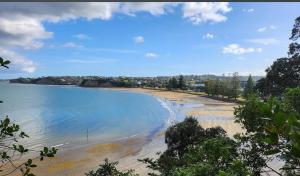 Blick auf einen Strand mit blauem Wasser und Bäumen in der Unterkunft Paris studio in Auckland