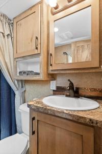 a bathroom with a sink and a toilet at Big-Tiny Home Farm Stay-15Min to Chattanooga in Wildwood