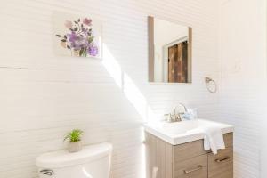 a bathroom with a sink and a toilet and a mirror at The Sunny Southern Manse Front Walk Downtown in Columbus +25 photos