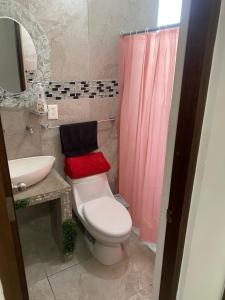 a bathroom with a pink shower curtain and a toilet at Hospedaje Feria de San marcos 2024 Para 8 Personas in Aguascalientes