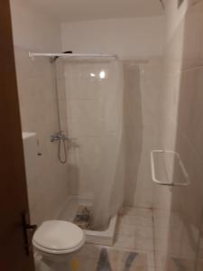 uma casa de banho branca com um WC e um chuveiro em Rooms with a parking space Jelovice, Central Istria - Sredisnja Istra - 22787 em Lanišće