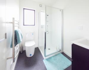 a bathroom with a shower and a toilet and a sink at The Savvy Retreat - vineyard views in Martinborough  +7 photos