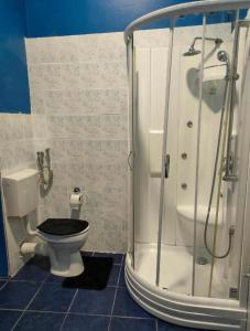 uma casa de banho com um chuveiro e um WC. em Waterfall Hostel em Saraievo
