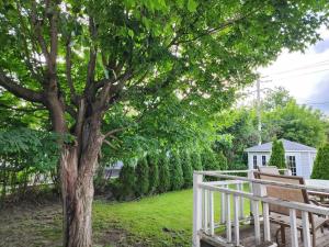 un árbol con un banco junto a una cerca blanca en Timeless Tranquility, a place near everything! en Longueuil