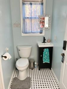 uma casa de banho com um WC e um lavatório em Superb Studio In Johnson City Center 1 min to ETSU em Johnson City