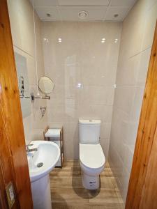 a bathroom with a toilet and a sink at Mountain View Accommodation in Donegal