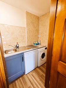 eine kleine Küche mit Spüle und Waschmaschine in der Unterkunft Mountain View Accommodation in Donegal