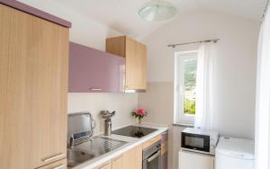 Kuchyň nebo kuchyňský kout v ubytování Apartments Lila