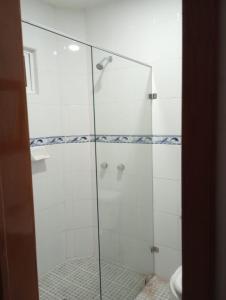 y baño con ducha de cristal y aseo. en Orizaba Suites, en Río Blanco