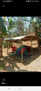 un refugio de madera con dos sillas debajo en Camping Ground @ Eastdee Lidlidda en Lidlidda